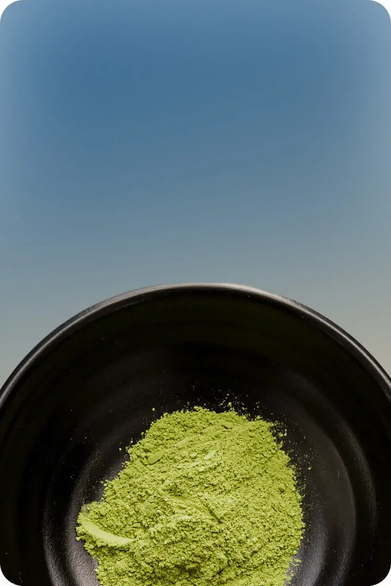 finance-and-management