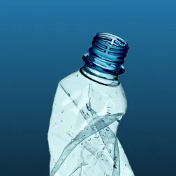 pages_microplastics.did_you_know.cards.3.description