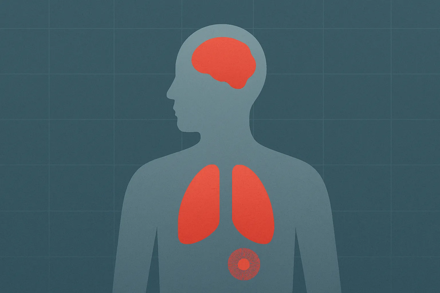 pages_microplastics.where_do_come_from.cards.1.title