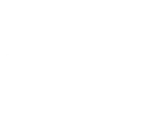 Saki Logo
